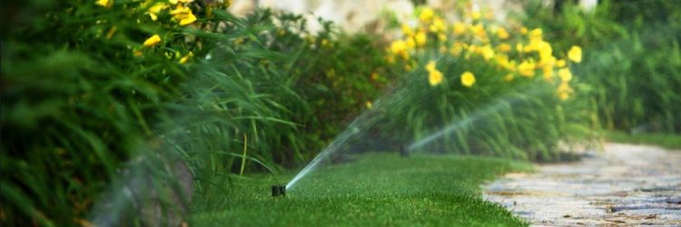 Mowing & Maintenance